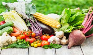 济_中研普华行业研究网CQ9电子app行业经(图4)